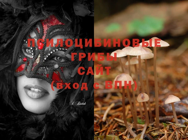 MESCALINE Няндома