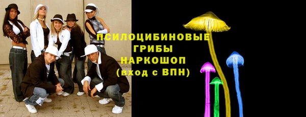 MESCALINE Няндома