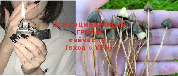 первитин Нягань