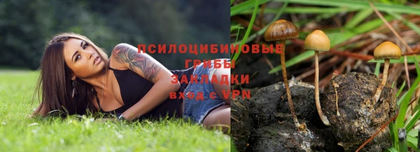 первитин Нягань