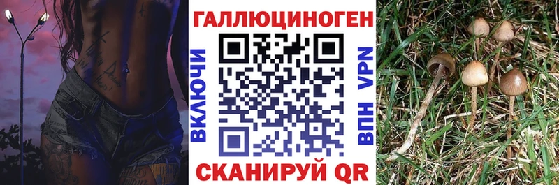 KRAKEN вход  Сысерть  Галлюциногенные грибы MAGIC MUSHROOMS  купить  